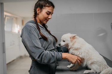 Woman waiting for her dog to be examined by doctor