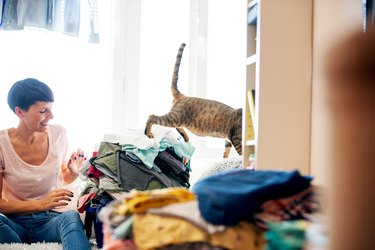 Adult Woman with her Devon Rex cat preparing laundry for ironing