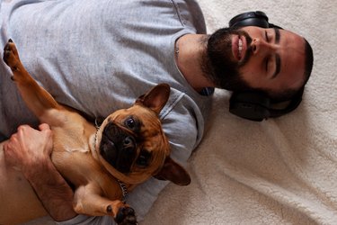 French Bulldog with young man with headphones smiling while lying on the floor