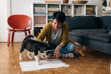 woman playing with her dog in her suite