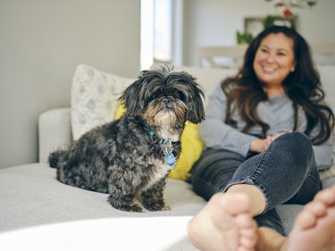 Woman at Home With Her Pet Dog