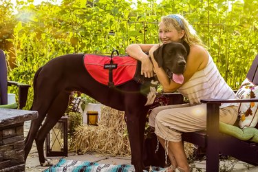 Middle aged woman with mobility issues is able to enjoy her garden patio outdoors with her Great Dane service dog helping her
