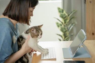 woman with her cat in front of computer tablet