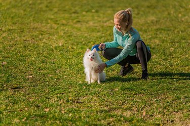 Happy young woman petting her dog outdoors.