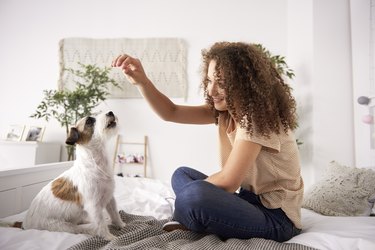 Woman playing with dog on a bed.