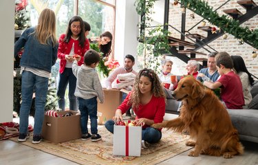 Woman decorating the house for Christmas with the help of the dog