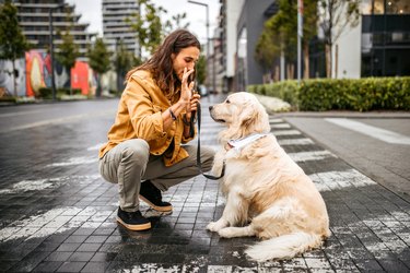 Man teaching his dog a stay cue while on a walk in the city