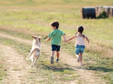 Back view of two children with a dog running over a field at sunset