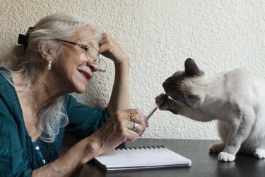 A content older woman is holding her pen out towards a cat who is chewing on it.