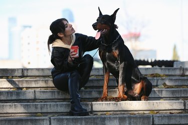 Young Woman sitting with Doberman Pinscher on city Street