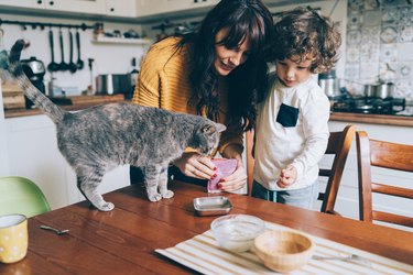 Young woman and little boy feeding cat