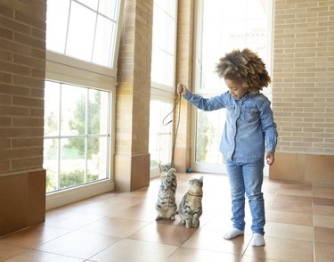 Kid girl playing with cat holding cable