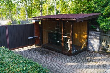 A large outdoor dog kennel sits on a patio by a fence. The kennel has a sloped roof and is in partial sun. A dog can be seen sitting inside the kennel.