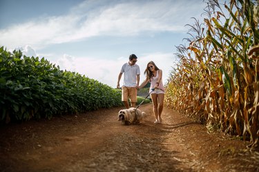 Couple walking with their dog