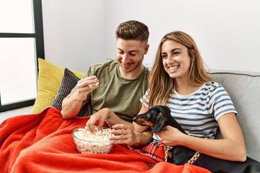 Young couple smiling happy watching movie sitting on the sofa with dog at home.