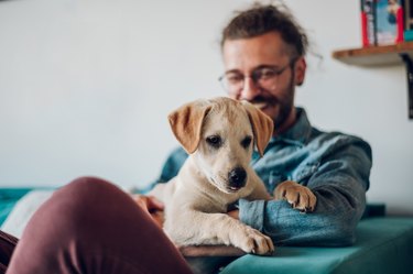 Man petting his adopted dog while sitting on the couch at home