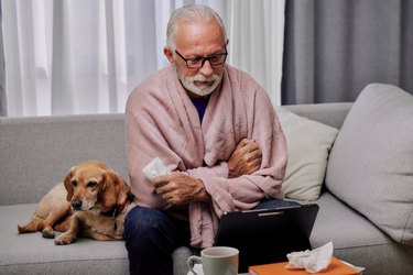 Sick elderly man on sofa with his dog suffering from seasonal flu or cold and using tablet for entertainment or online doctor consultation. Ill senior feel unhealthy with influenza at home