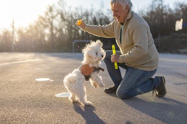 Caucasian grandfather making soap bubbles while playing with grandson and dog