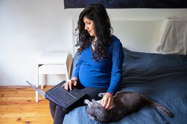 At home pregnant, looking at a computer, and petting a cat