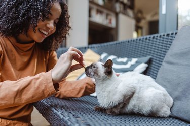 Young woman playing with her cat