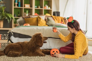 woman training dog with halloween decorations around