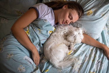 Dog and human in bed