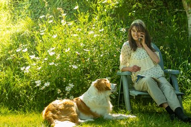 middle-aged woman talking on the phone in her garden with her dog