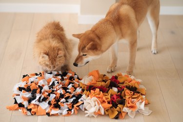 Finding Kibble Snuffle Dog Toy-handmade Snuffle Mat 