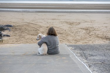 Mature woman sitting on beach with young golden retriever dog looking out to sea