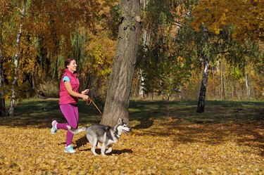 Sporty woman jogging with her husky dog in the park