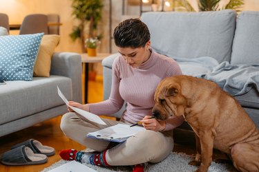 A woman and her dog looking at bills at home in a living room.
