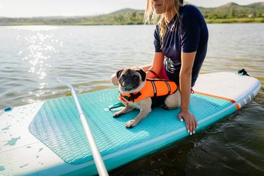 Paddling with my pet