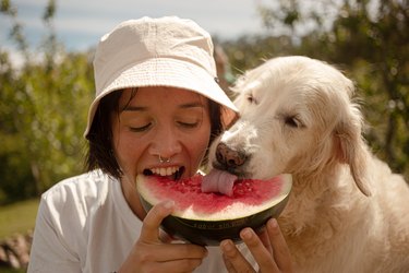 Girl eating watermelon with her dog