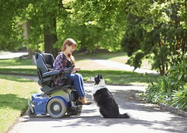 Woman in wheelchair training dog in park.