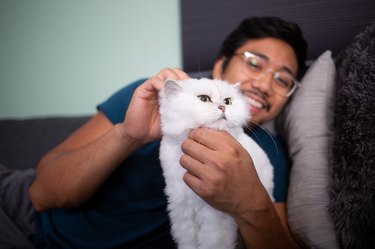 Man Petting Cat on Couch