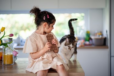 Little multiracial girl sitting in kitchen and eating chocolatewith her cat behind her.