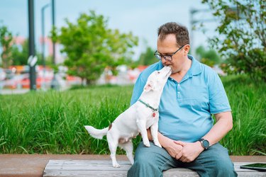Adult man in glasses sitting on a bench in a park while a small white dog licks his mouth.