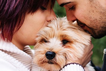 Man and woman hugging cute dog