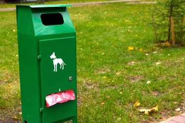 Steel urn for disposal of dog feces. The urn is installed in the park. A fine autumn day.