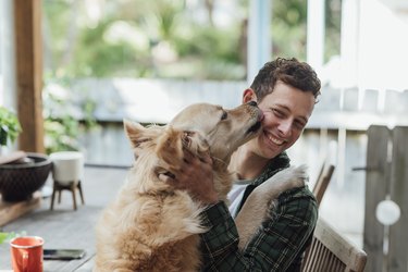 A dog is licking a happy man's face.