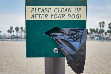 Dog Waste Station with disposable plastic bags, Venice Beach, California, USA