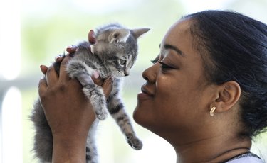 African-American woman holding kitten aloft