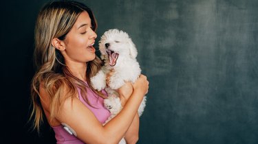 Portrait of young woman holding small white dog