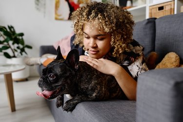 Pet sitter showing affection to a small dog.