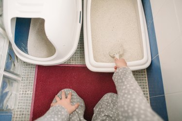 Young woman cleaning cat litter tray