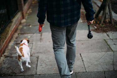 A man holding "poop bag" , walking with dog