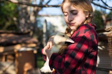 A girl holding a duck