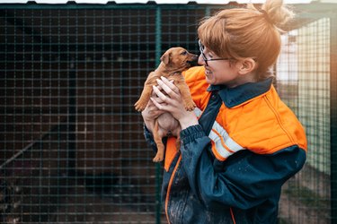 7 Awesome Pet-Related Organizations to Give Back To This Holiday Season |  Cuteness
