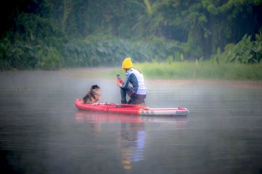 woman and dog on stand-up paddle board