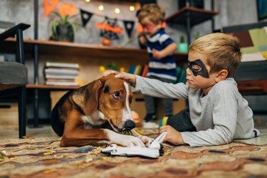 Little bat costume petting his cute Hound dog while he bite his toy